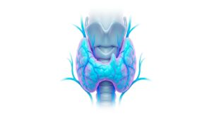 갑상선 초음파 검사를 시각화한 의학적 3D 일러스트레이션